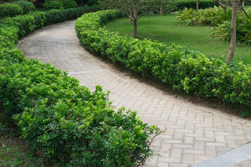 Landscape Walkway Installation