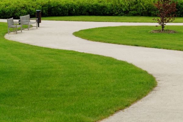 Cost of Concrete Walkway Installation in Bellevue